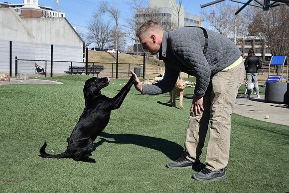 Resize_DogPark_RHPDSC_0255
